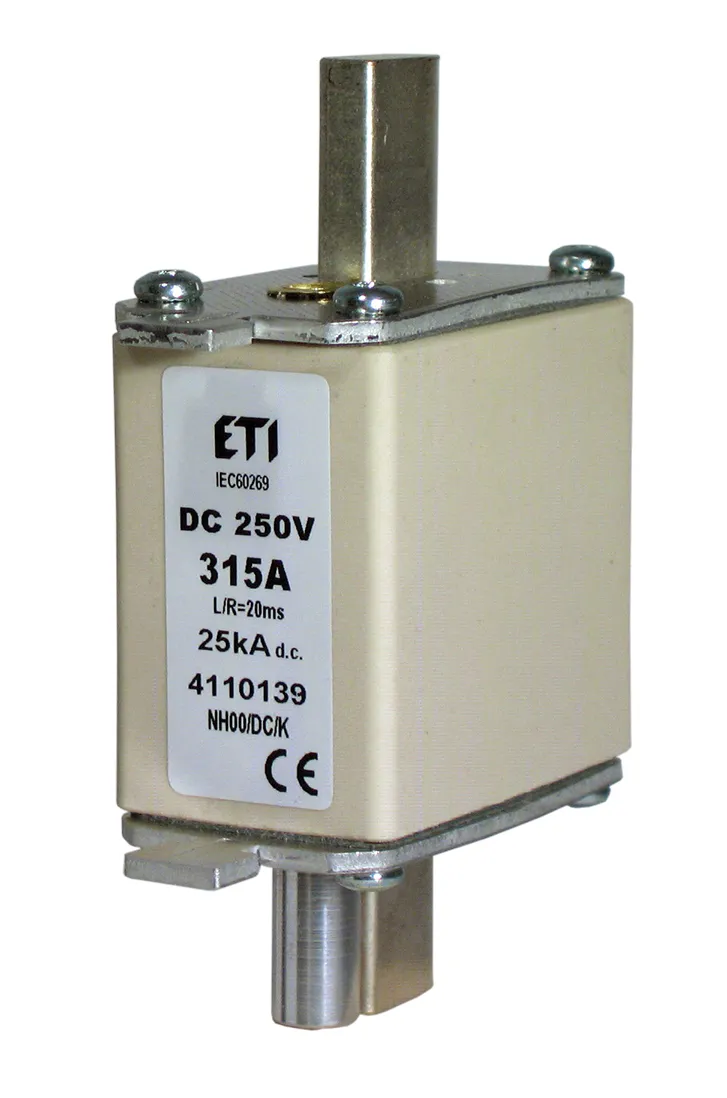 Fuse link NH00 100A/250V DC 004110131